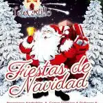 Animacion Fiesta De Navidad Malaga